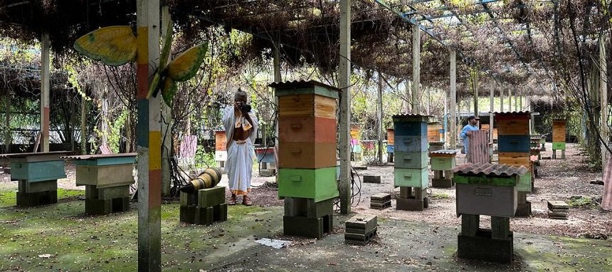 sunyogi-bees-and-butterflies