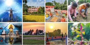 Newsletter 2023 11 email banner 1