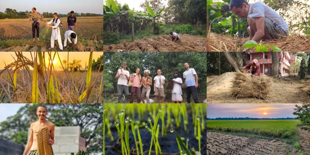 nature garden compilation december 2023