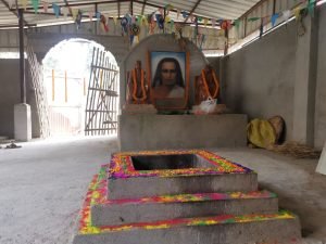 Babaji Kalpataru 2024