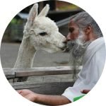 Sunyogi kisses a lama