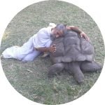 sunyogi and a turtle