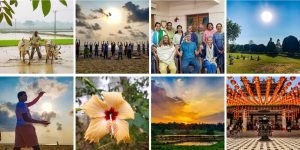 Banner-Newsletter-no20