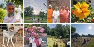 Banner Newsletter Sunyoga No21