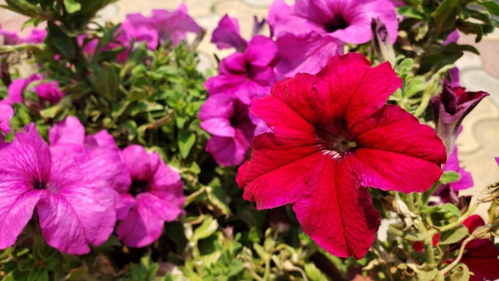 WhatsApp Image 2024 06 16 at 14.02.56 c6d9ec6d