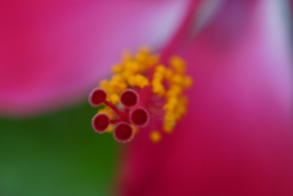 WhatsApp Image 2024 06 18 at 15.26.48 027908e9