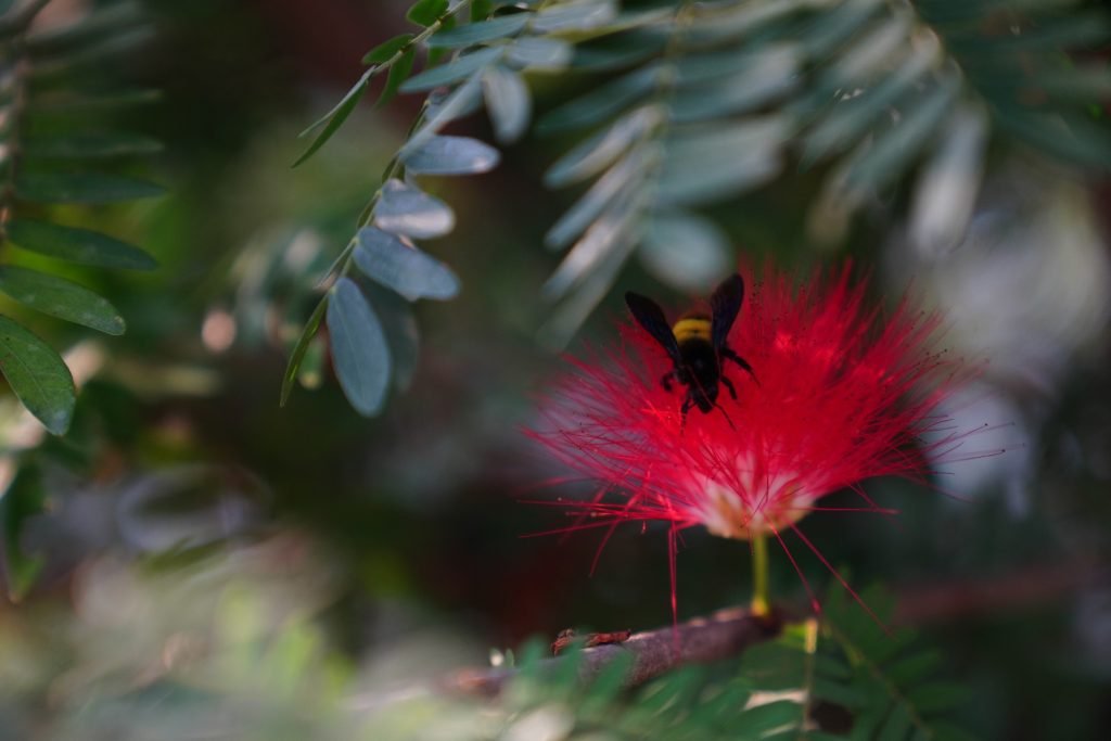 WhatsApp Image 2024 06 18 at 15.26.48 664f4766