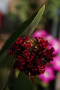 WhatsApp Image 2024 06 18 at 15.26.50 f3d20bf0