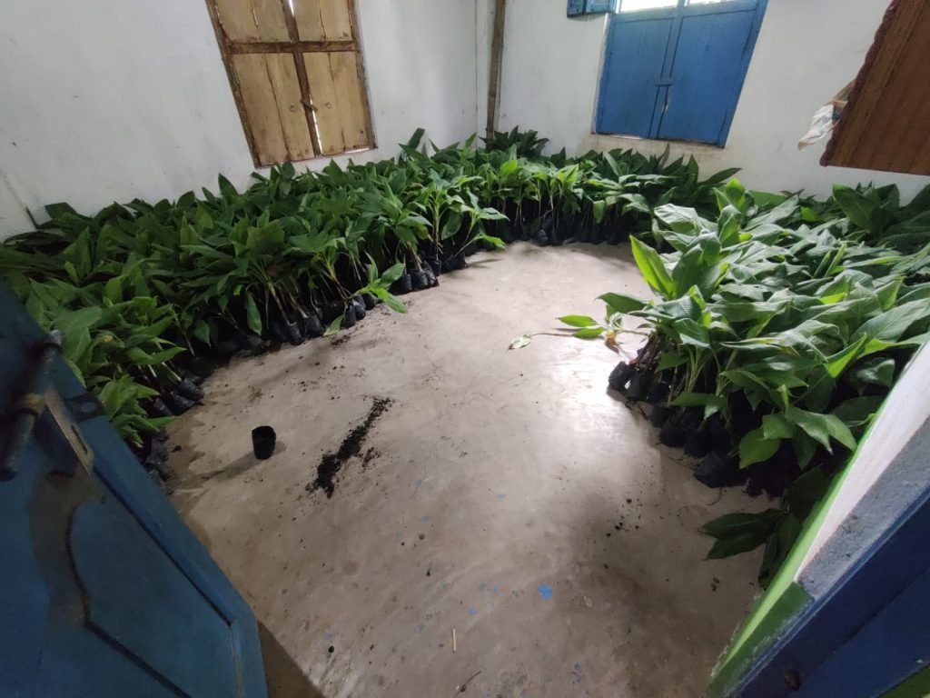 WhatsApp Image 2024 06 21 at 15.47.24 642c4e80