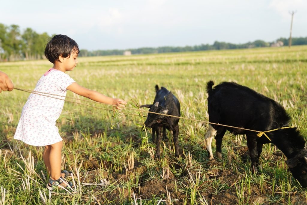 WhatsApp Image 2024 06 26 at 05.48.02 48904aec