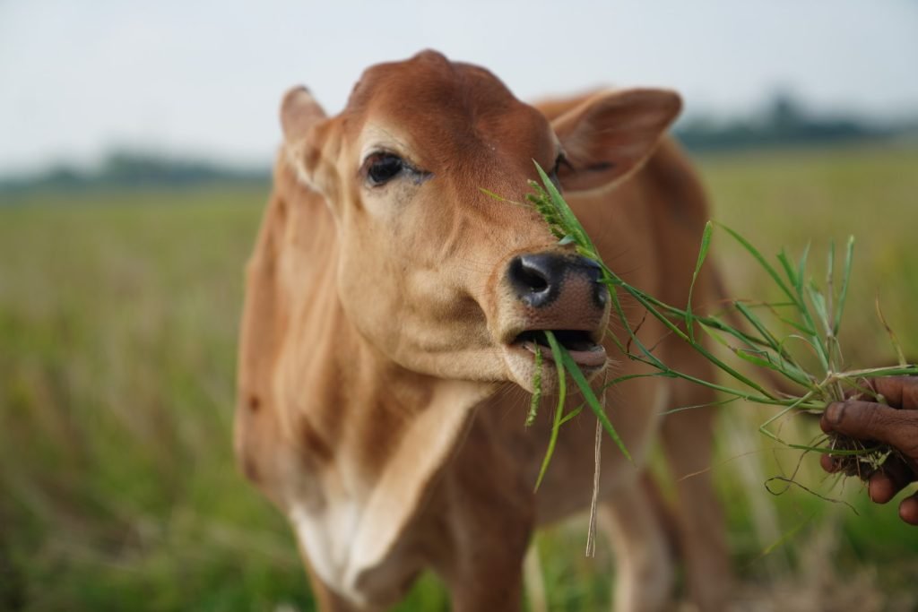 WhatsApp Image 2024 06 26 at 05.48.09 acf4e5a2