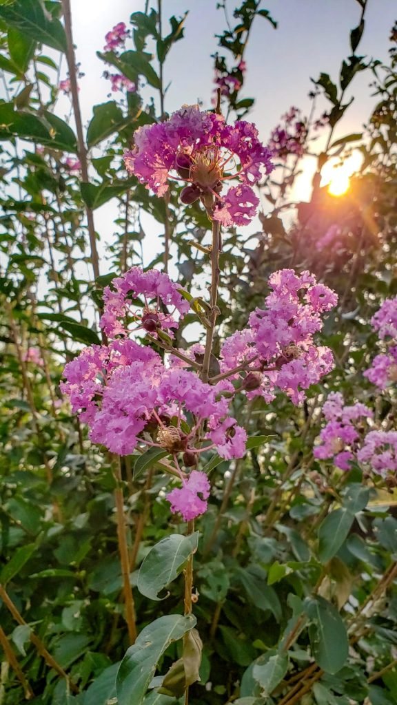 WhatsApp Image 2024 06 26 at 15.10.46 9eff99af