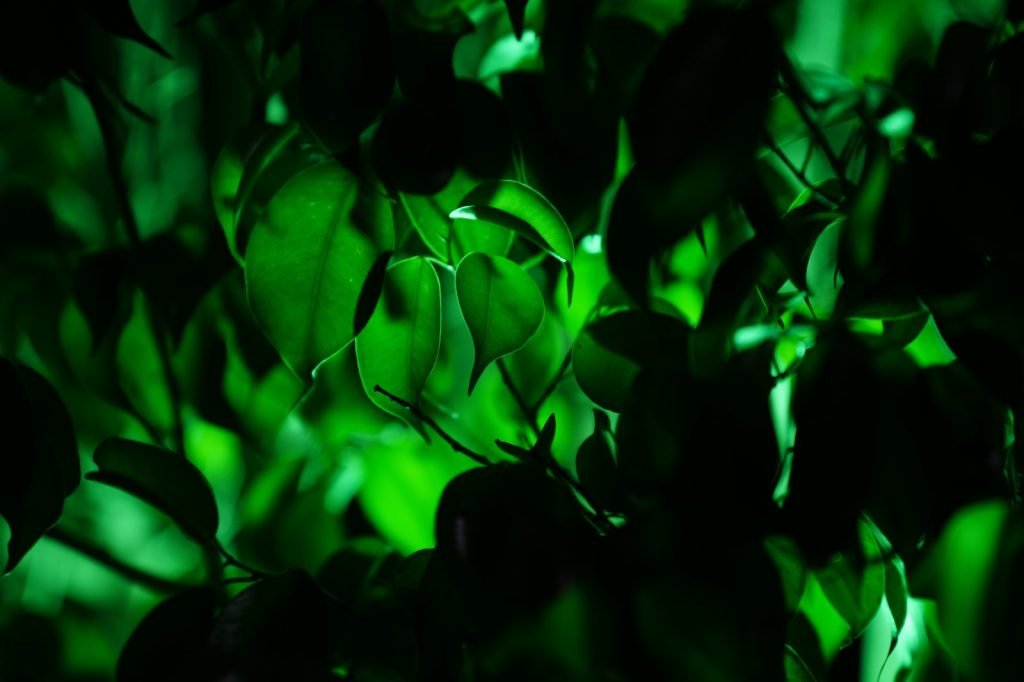 WhatsApp Image 2024 06 26 at 17.58.35 8d363226