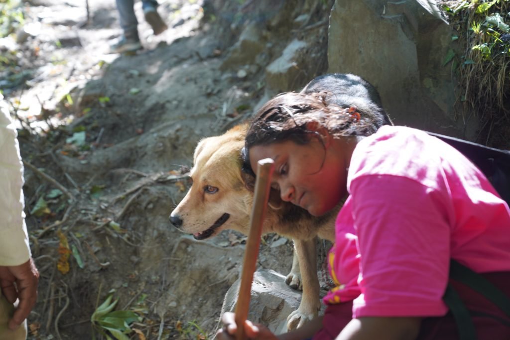 Sheru gives me some support when I am tired.