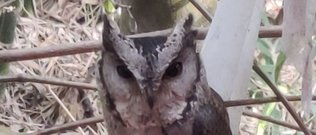 photo 2024 11 29 14 50 48