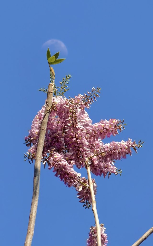 IMG 20250205 153505 scaled e1740784842307