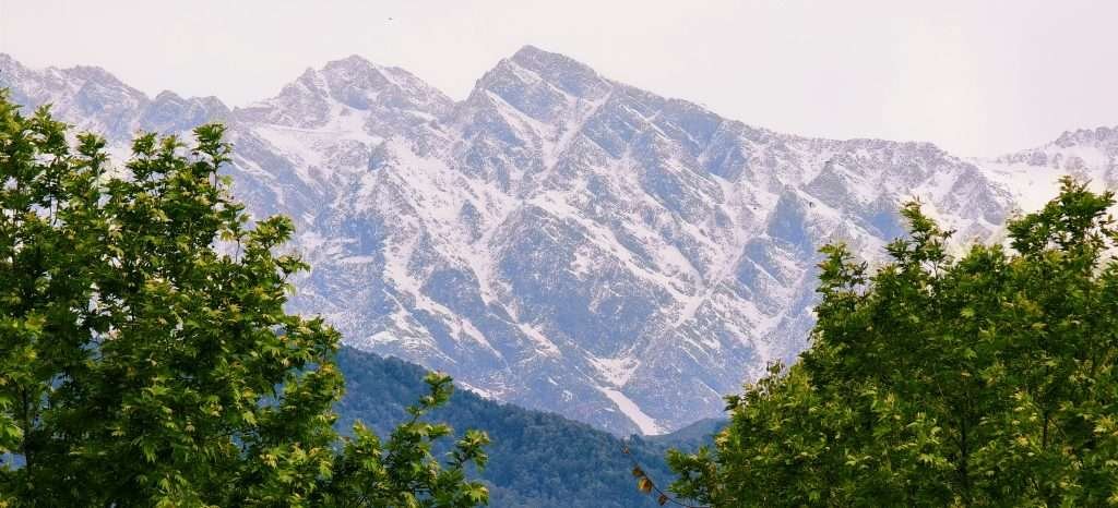 pahar-palampur-2025