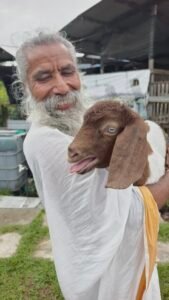 548397749 25009250675346630 551828900580685150 n