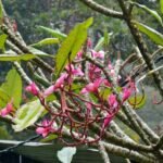 WhatsApp Image 2025 10 04 at 05.52.491