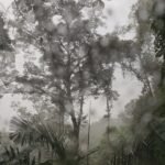 WhatsApp Image 2025 10 04 at 05.52.531