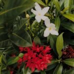 WhatsApp Image 2025 10 04 at 05.52.54