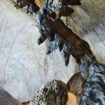 WhatsApp Image 2025 10 04 at 05.53.06