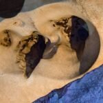 WhatsApp Image 2025 10 04 at 05.53.17