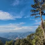 WhatsApp Image 2025 10 05 at 15.35.34