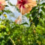 WhatsApp Image 2025 10 05 at 15.35.38