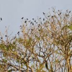 WhatsApp Image 2025 10 05 at 20.29.132