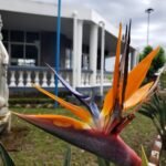 WhatsApp Image 2025 10 08 at 23.48.37