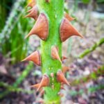 WhatsApp Image 2025 10 10 at 19.18.30