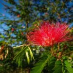 WhatsApp Image 2025 10 10 at 19.18.31