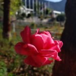 WhatsApp Image 2025 10 10 at 19.18.35