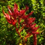 WhatsApp Image 2025 10 10 at 19.18.36