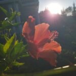 WhatsApp Image 2025 10 10 at 19.18.44