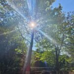 WhatsApp Image 2025 10 14 at 01.09.09