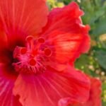 WhatsApp Image 2025 10 14 at 01.09.11