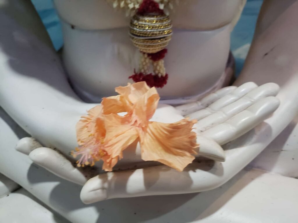 WhatsApp Image 2025 10 16 at 22.01.54