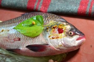 WhatsApp Image 2025 12 01 at 15.35.06 1