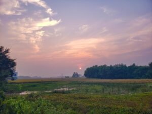 minimum sun maximum growth