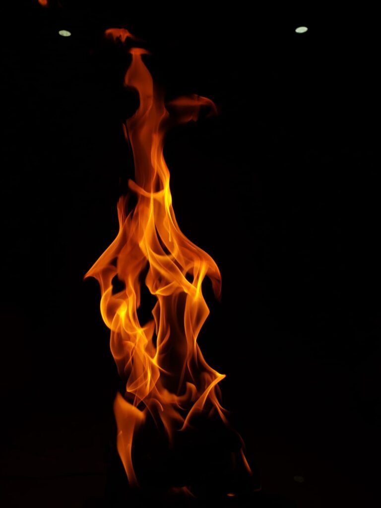 WhatsApp Image 2025 12 17 at 08.16.00