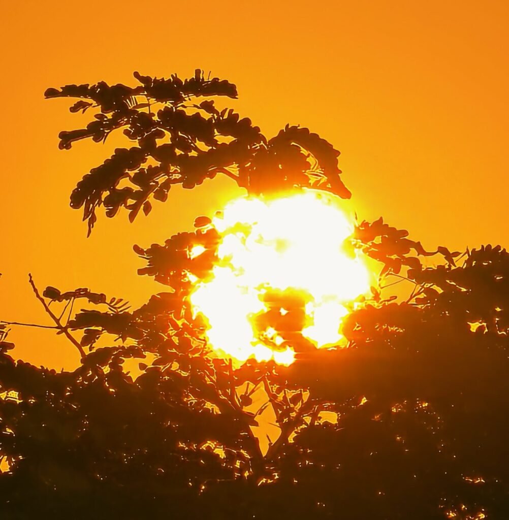 1img 20260207 064408