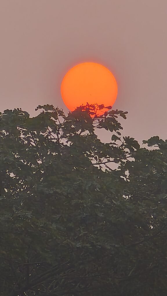 Sunrise at UPC Ashram.